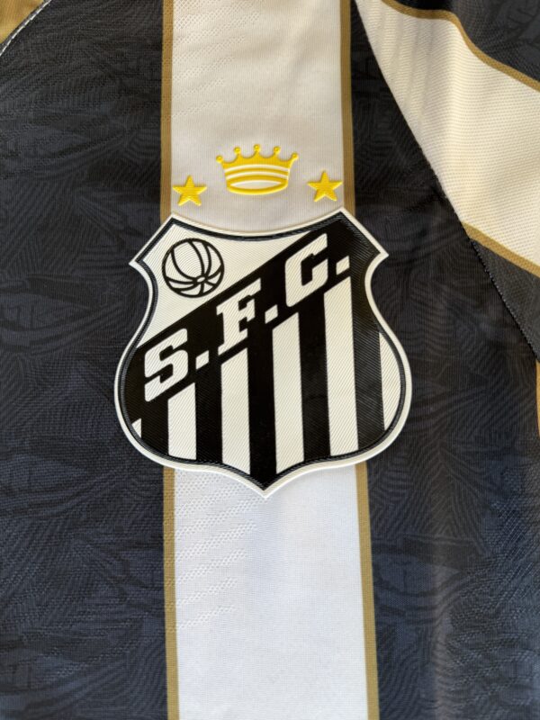 santos local 2024/25