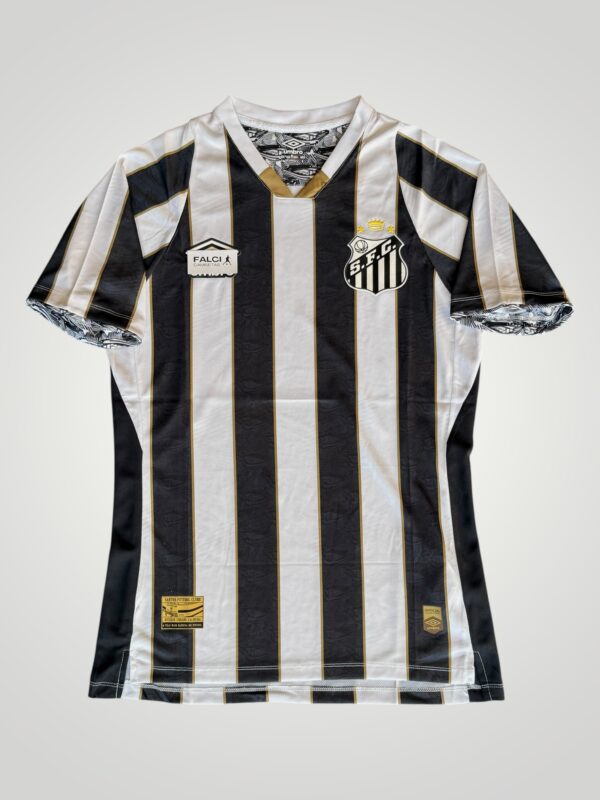 santos local 2024/25