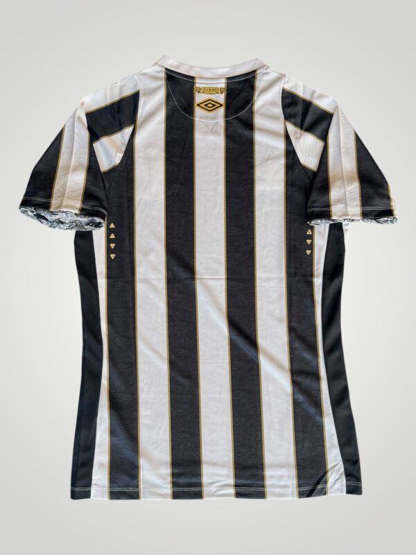 santos local 2024/25