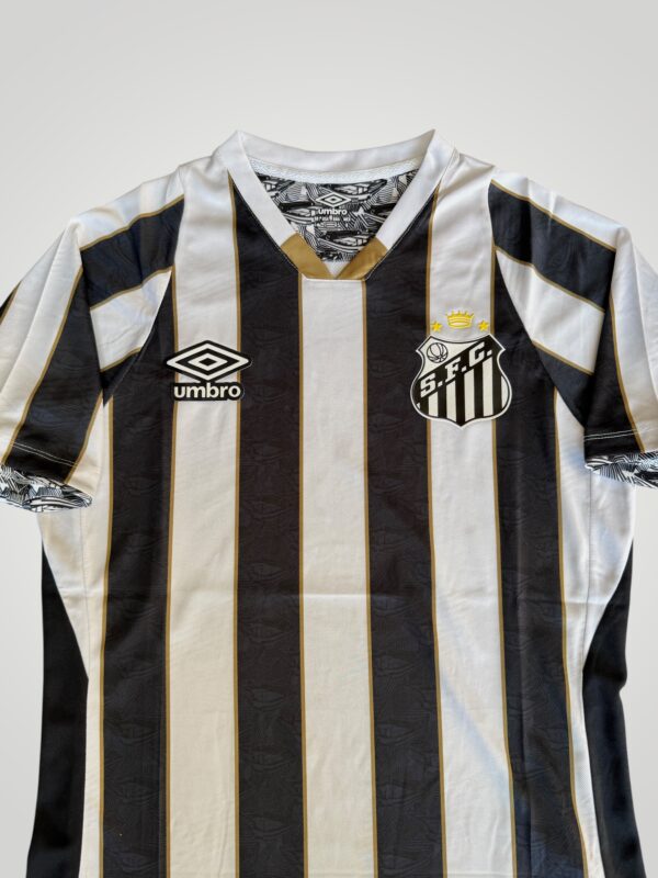 santos local 2024/25